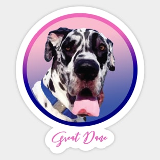 Beautiful Great Dane! Especially for Great Dane owners! Sticker